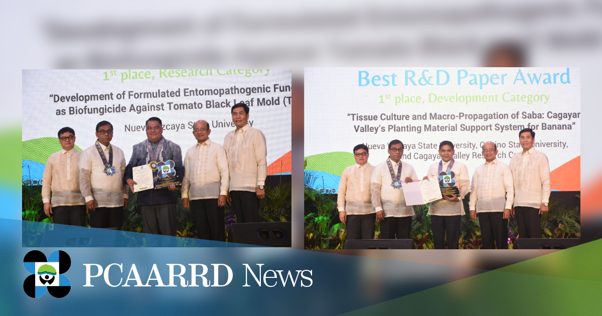 Project that developed biofungicide against tomato black leaf mold and project to boost saba banana production emerged as Best R&amp;D Papers